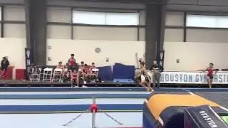 Asa Rosenberg - Vault Houston Gymnastics Academy Invitational 2023