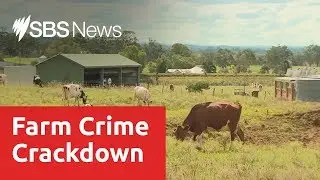 Victorian police launch new rural unit to target farm crimes
