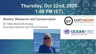 Expedition What's the Catch? Virtual Field Trip - Sharks: Research and Conservation