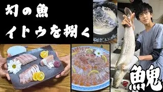 幻の魚、イトウを捌く 本編