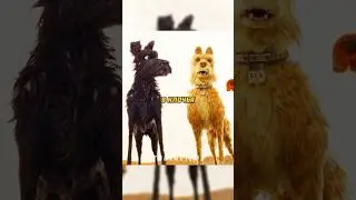 Когда уличные собаки делят еду 🐕 #фильм #сериал #моменты #shorts