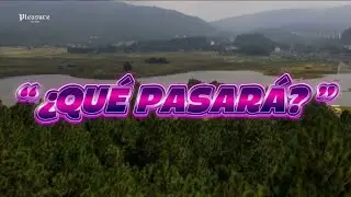 &iquest;Qu&eacute; Pasar&aacute;? - Papi Juancho X Pleasure Records