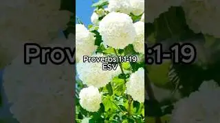 Proverbs 1:1-19  #heavenlylovevibes #proverbs #wisdom #fearofthelord #wordofgod #understanding #life