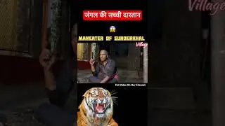 Maneater Tiger #jimcorbett #tiger #youtubeshorts