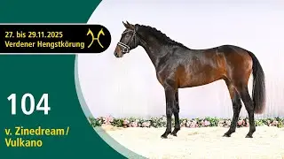 No. 104 Stallion by Zinedream - Vulkano | Verden Stallion Licensing 2025 - Jumping - Nov. 28/29