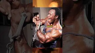 Why Did Lee Haney Use a Push-Pull Training Split? 🤔 #shorts