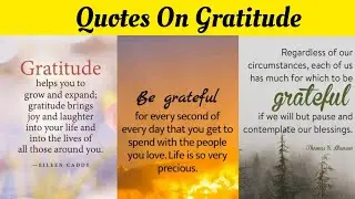 Quotes On Gratitude | Power Of Gratitude | Gratitude Quotes | Morning Motivation