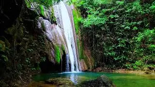 River Sound for Therapy – Calm the Mind, Relieve Stress and Sleep Deeply