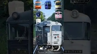 Special trains Puzzle - How many trains do you know? #railway #shorts #keretaapi
