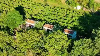 Glamping Green Istria Houses