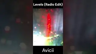 Flashback: Best Songs of 2010 - Levels (Radio Edit)