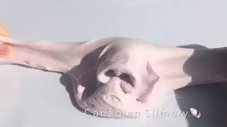 Satisfying Slime Sizzles | Canadian Slimery