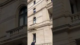 Pigeons on every ledge of the Customs House
