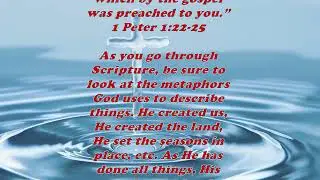 Daily Bible Verse Commentary - Matthew 15:35