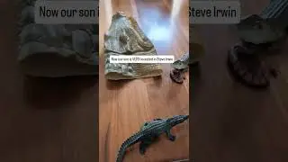 20 years later and Steve Irwin is still impacting young hearts and minds