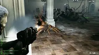 Soloing Matriarch in Nix Mansion with my alt - Possessed Agony - Dead Frontier 2