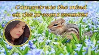 Relaxing music with quotes and different elements of nature to relax mind and relieve stress
