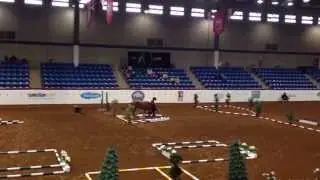 Gold In-Hand Trail Futurity APHA World Championship Show