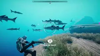Beyond Blue - Let's Play