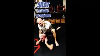 SILAT: Fighting Techniques Simplified