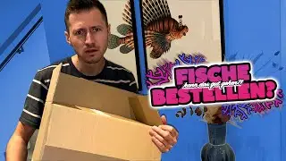 Diese TIERE habe ich ONLINE BESTELLT! 😳