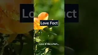 Love Fact.... Like and Comment for more 👇 #loveFact