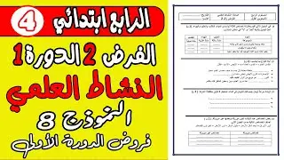 فرض الثاني دورة الأولى مادة النشاط العلمي المستوى الرابع نموذج4| فروض المستوى الرابع