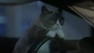 grumpy cat worst Christmas ever edit 2014.