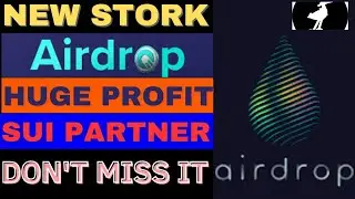 New Stork Sui Wallet Airdrop|New Token Airdrop|Technical Shahnavi