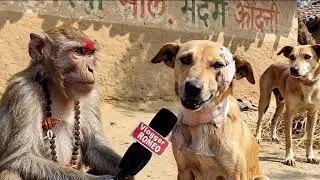 Instagram Trend Video shots Kutta aur banda Ka podcastc🎧🤣 ia edit documents online video 