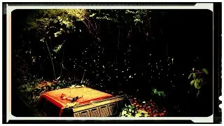 Time lapse hedge destruction