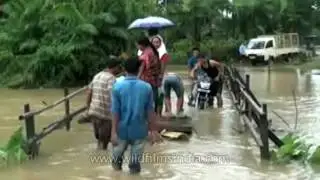 Assam flood: hundreds of thousands shifted to relief camps, most of Kaziranga under water
