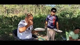 Picnic vlog 2025