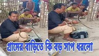 Did the big snake catch the village house How many people see such a snake in life| big snack catch