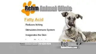 Fatty Acids for Pets