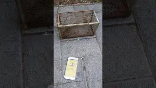 Anti mouse sound app