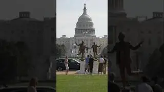 Trump-Epstein 'friendship' statue removed from National Mall one day after it appeared