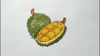 How to Draw Durian Step by Step l Easy Durian Drawing