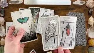 Virgo Full Moon March 2023 Tarot Reading for all Zodiacs!