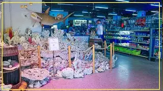 Магазин аквариумов, который действительно не похож ни на один другой