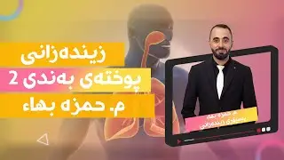 زیندەزانی پۆلی ١٢ - پوختەی بەندی دووەم ، کۆئەندامی سووڕان و کۆئەندامی هەناسە .
