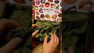 Melt Cosmetics Smoke Sessions Palette