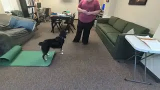 Neptune: The Office Superstar, 2025 Trick Dog Competition