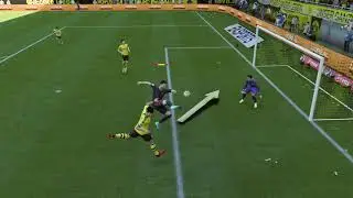 Flyin Goalretzka