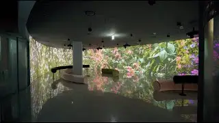 2021 서울라이트 | DDP SEOULIGHT