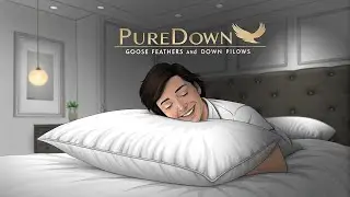 Puredown Goose Feathers and Down Pillows Review 💤 Best Luxury Hotel Pillow on Amazon?