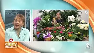 Spring Gardening Tips and Gift Ideas from Bell Nursery | Cincy Lifestyle