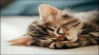Cute songs that help you cope with sadness_ ambition