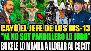 OMG, BRUTAL ARREST! ​​🚨 MS-13 GANG LEADER BREAKS DOWN IN TEARS UPON BEING SENT TO CECOT. 😱🤣