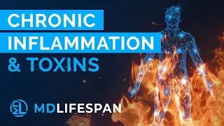 The Vicious Cycle of Toxins & Chronic Inflammation